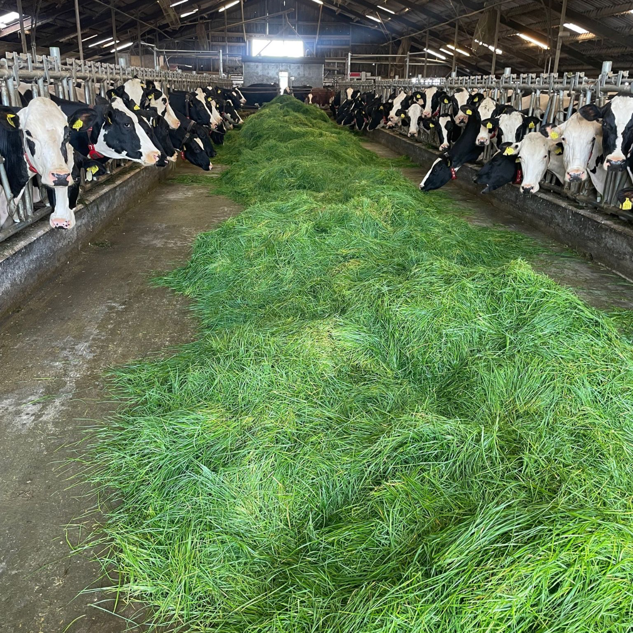AQUIP Zero Grazing
